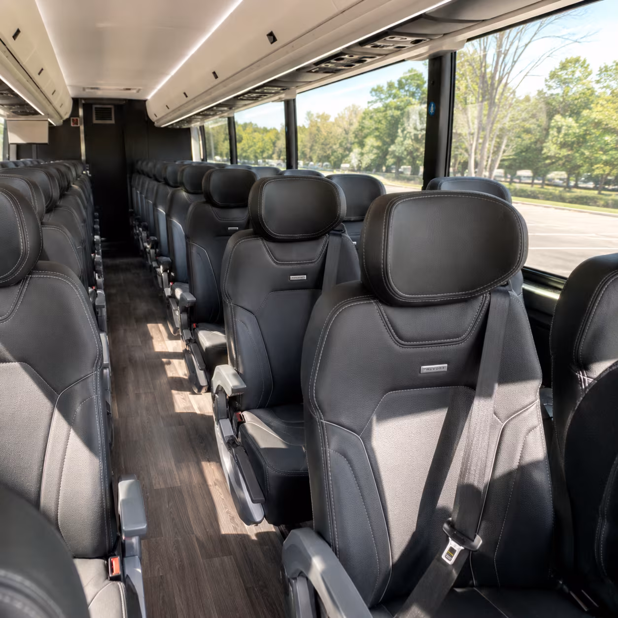 garland school field trip charter bus rentals in garland